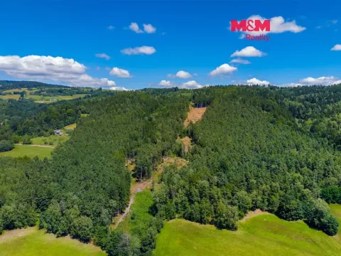Prodej lesa, Bílá, 57919 m2