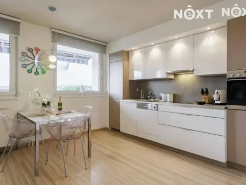 Pronájem bytu 4+kk, Praha - Podolí, Na vrstvách, 101 m2