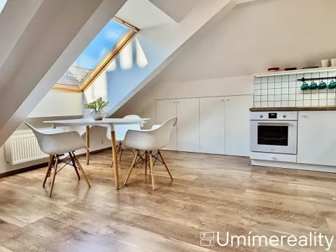 Pronájem bytu 1+kk, Praha - Vinohrady, Šrobárova, 50 m2
