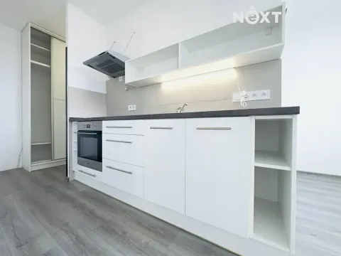 Pronájem bytu 1+1, České Budějovice, K. Šafáře, 43 m2
