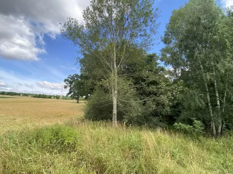 Prodej pozemku, Olbramice, 225 m2