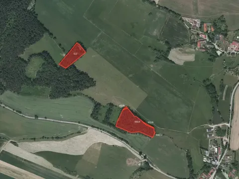 Prodej lesa, Litochovice, 20663 m2