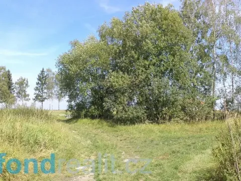 Prodej pozemku, Čejetice - Mladějovice, 620 m2
