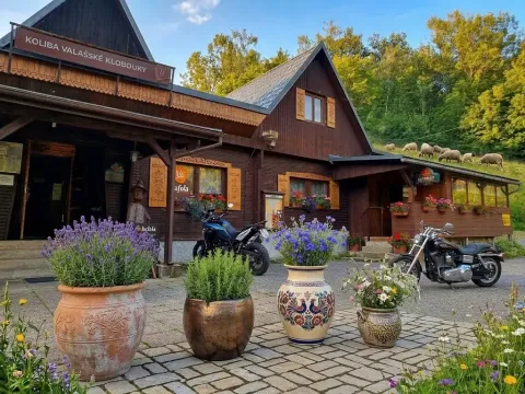 Prodej restaurace, Valašské Klobouky, Brumovská, 467 m2
