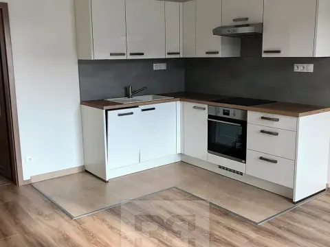 Pronájem bytu 1+kk, Praha - Hodkovičky, Šífařská, 40 m2