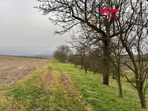 Prodej zahrady, Bezuchov, 901 m2