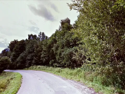 Prodej lesa, Dubnice, 2000 m2