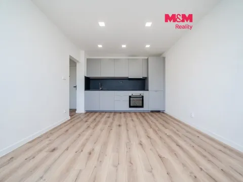 Prodej bytu 2+kk, Frýdek-Místek - Frýdek, Gogolova, 40 m2