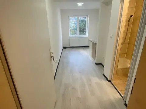 Pronájem bytu 1+kk, Praha - Hlubočepy, Na Zlíchově, 18 m2
