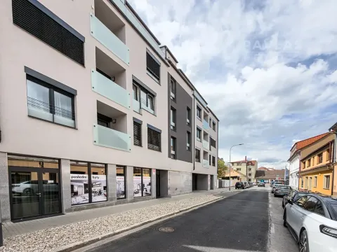 Pronájem bytu 3+kk, České Budějovice, Chelčického, 116 m2