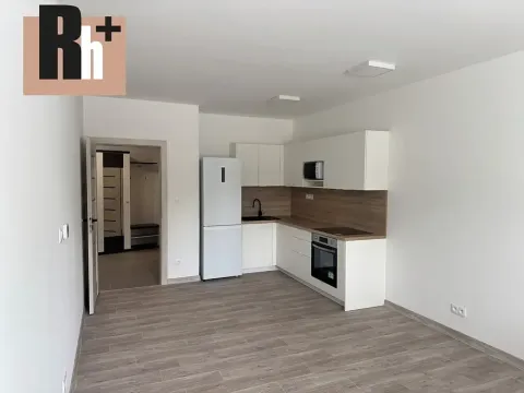 Prodej bytu 2+kk, Ostrava, Opavská, 59 m2