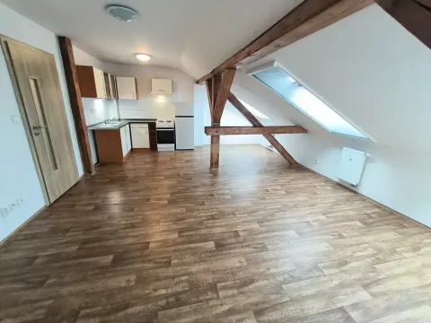 Pronájem bytu 1+kk, Ústí nad Labem, Londýnská, 52 m2