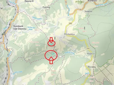 Prodej lesa, Tanvald, 6473 m2