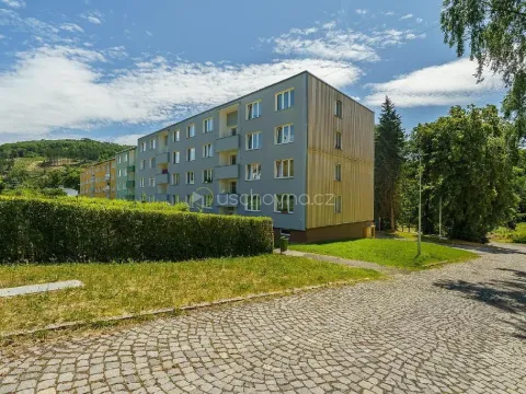 Prodej bytu 2+1, Žlutice, Vítězná, 52 m2