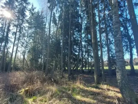 Prodej lesa, Čáslavsko, 2742 m2