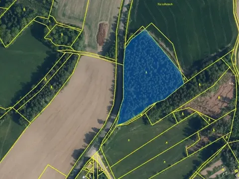 Prodej podílu lesa, Malá Skála, 6790 m2