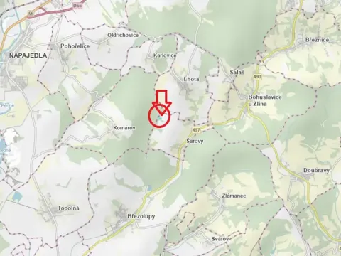 Prodej podílu lesa, Šarovy, 2437 m2