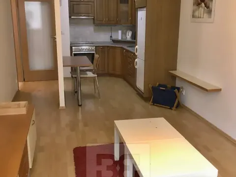 Pronájem bytu 2+kk, Praha - Žižkov, Budovcova, 60 m2