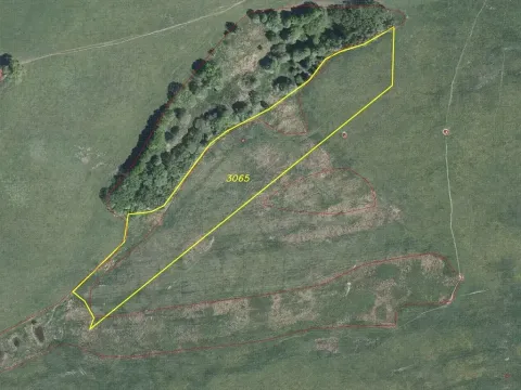 Dražba louky, Zdobnice, 14437 m2