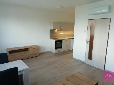 Pronájem bytu 1+kk, Olomouc, 30 m2