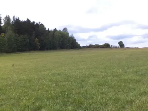 Prodej pole, Tachov, 5912 m2