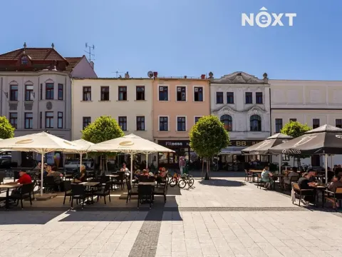 Pronájem obchodního prostoru, Karviná, Masarykovo nám., 165 m2