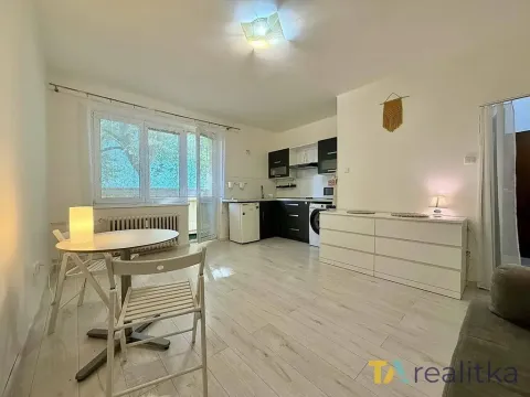 Pronájem bytu 1+kk, Havířov, Družstevnická, 24 m2