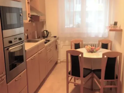 Pronájem bytu 2+1, Brno, Merhautova, 60 m2