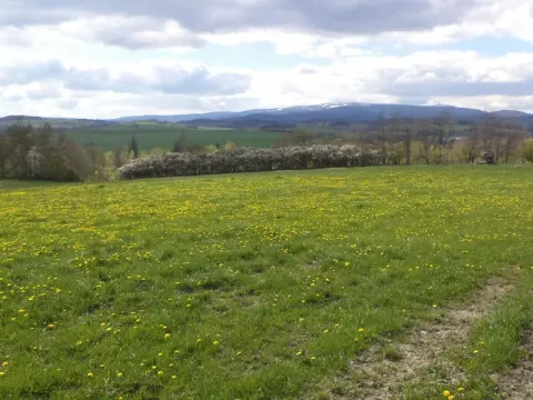 Prodej pozemku, Staré Město - Nová Véska, 10063 m2
