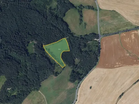 Prodej louky, Velké Opatovice, 11792 m2