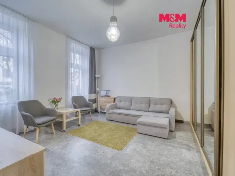 Prodej bytu 1+kk, Plzeň - Východní Předměstí, Plzenecká, 30 m2