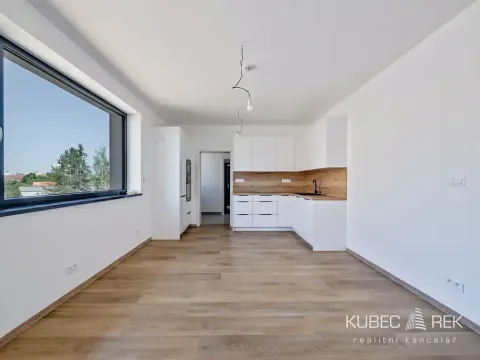 Prodej bytu 1+kk, Veselí nad Lužnicí, Budějovická, 40 m2