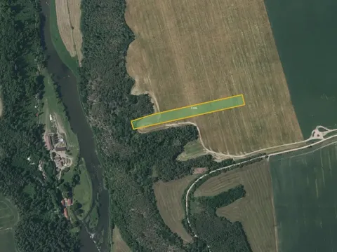 Prodej pole, Kladruby, 14003 m2