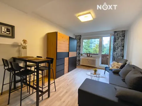 Pronájem bytu 1+kk, Bohumín, Svat. Čecha, 28 m2