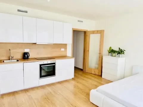 Pronájem bytu 1+kk, Praha - Vysočany, Střídavá, 36 m2