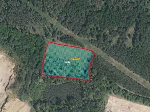 Prodej louky, Chvaletice, 8571 m2