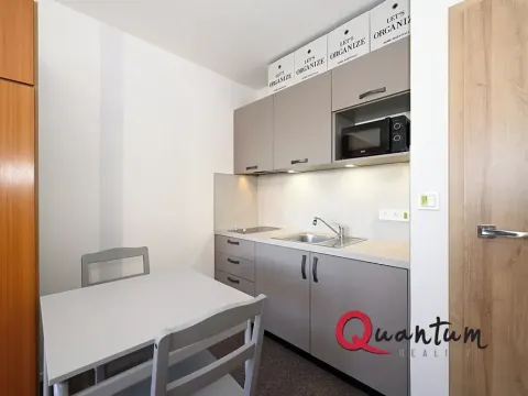 Pronájem bytu 1+kk, Praha - Braník, Údolní, 27 m2