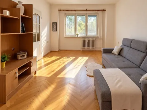 Prodej bytu 2+1, Kralupy nad Vltavou - Lobeček, Hakenova, 56 m2