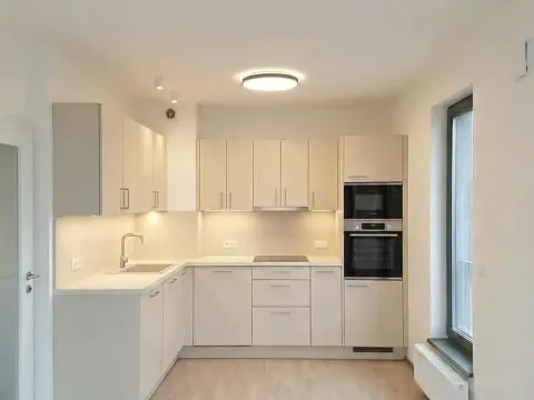 Pronájem bytu 2+kk, Praha - Karlín, Švarcova, 54 m2