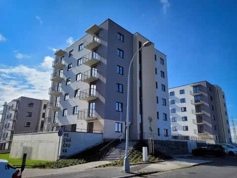 Pronájem bytu 1+kk, Plzeň, Pecháčkova, 42 m2