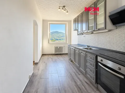 Prodej bytu 4+1, Ústí nad Labem - Krásné Březno, Přemyslovců, 83 m2