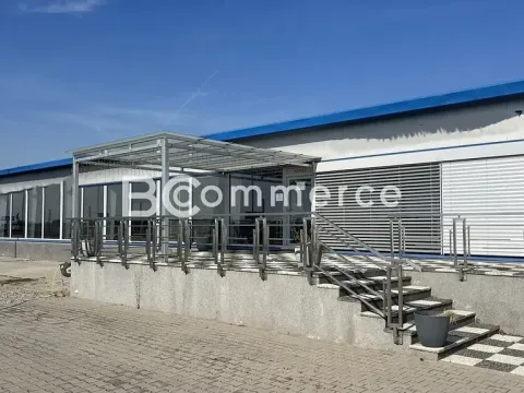Pronájem obchodního prostoru, Pohořelice, 3700 m2
