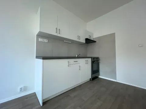 Pronájem bytu 1+kk, Ústí nad Labem, Masarykova, 26 m2