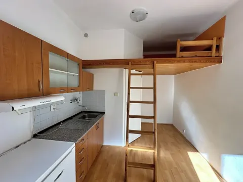 Pronájem bytu 1+kk, Praha - Břevnov, Bělohorská, 13 m2