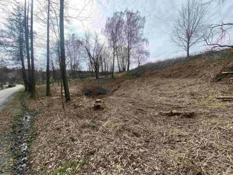 Prodej pozemku, Horní Stropnice - Šejby, 704 m2