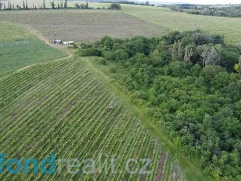 Prodej pozemku, Újezdec, 4878 m2