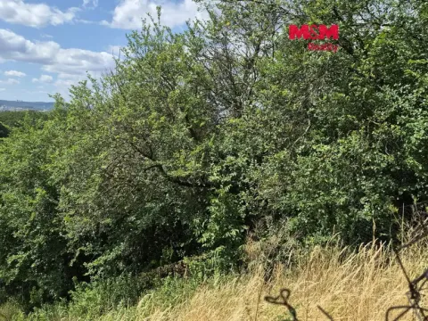Prodej zahrady, Brno - Brněnské Ivanovice, 1358 m2