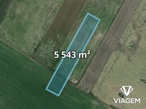 Prodej pole, Moravský Žižkov, 5543 m2