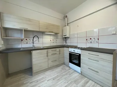 Pronájem bytu 1+1, Třinec, Palackého, 44 m2