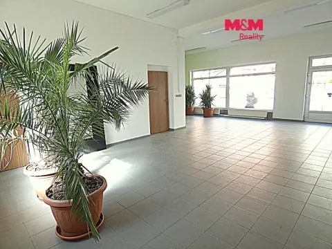 Pronájem obchodního prostoru, Ostrava - Mariánské Hory, Přemyslovců, 66 m2